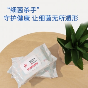 75%酒精濕巾（80片）